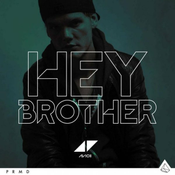 10 2013 Avicii - Hey brother