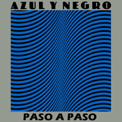 20 1982 Azul Y Negro - Paso a paso